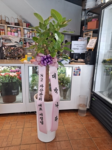 첨부사진