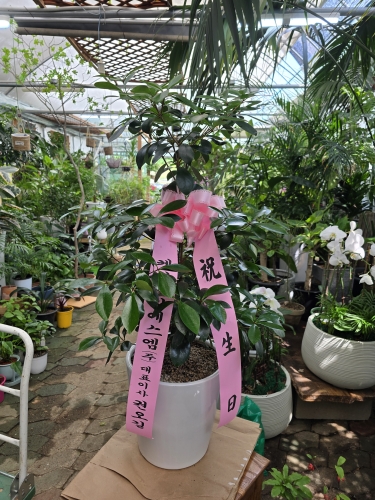 첨부사진