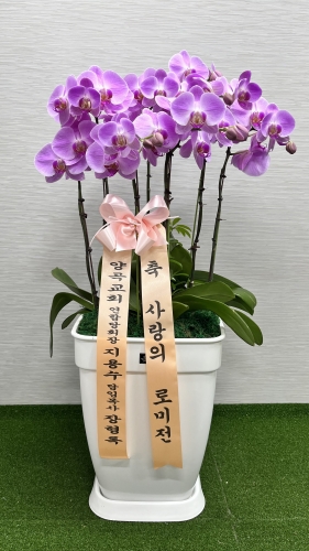 첨부사진