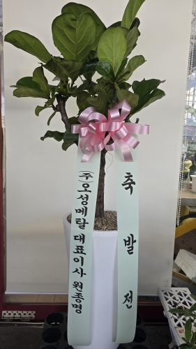 첨부사진