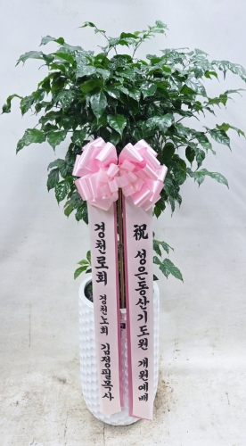 첨부사진