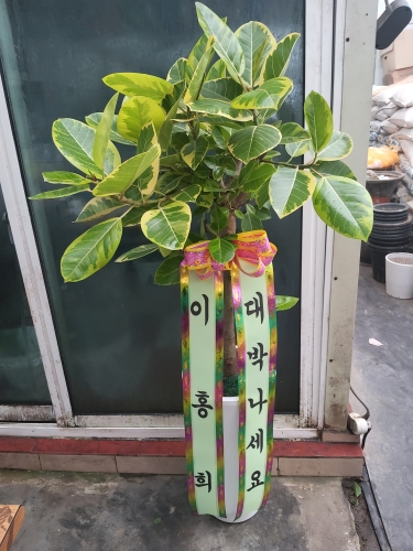 첨부사진