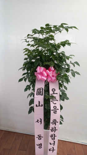 첨부사진